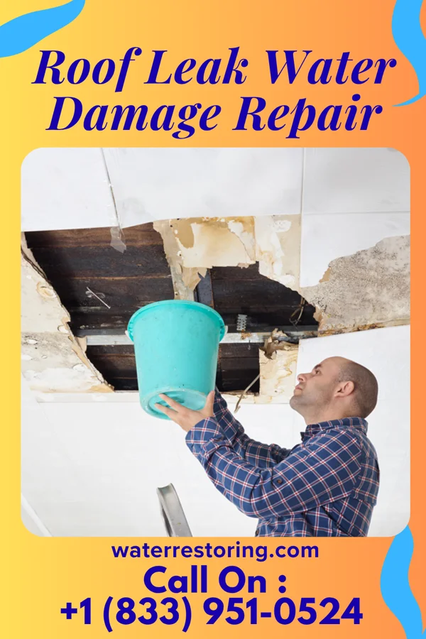 Roof Leak Water Damage Repair in Manchester, MD